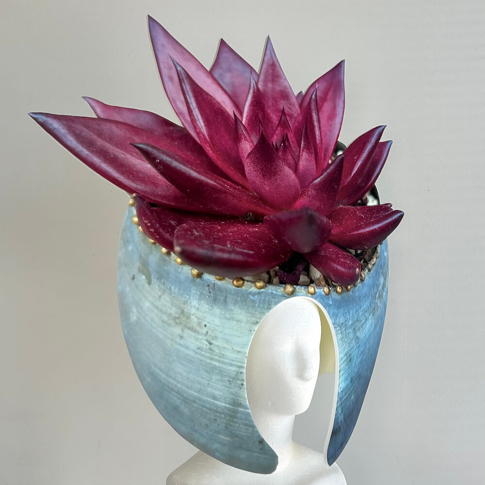 多肉植物「エケベリア」被り物