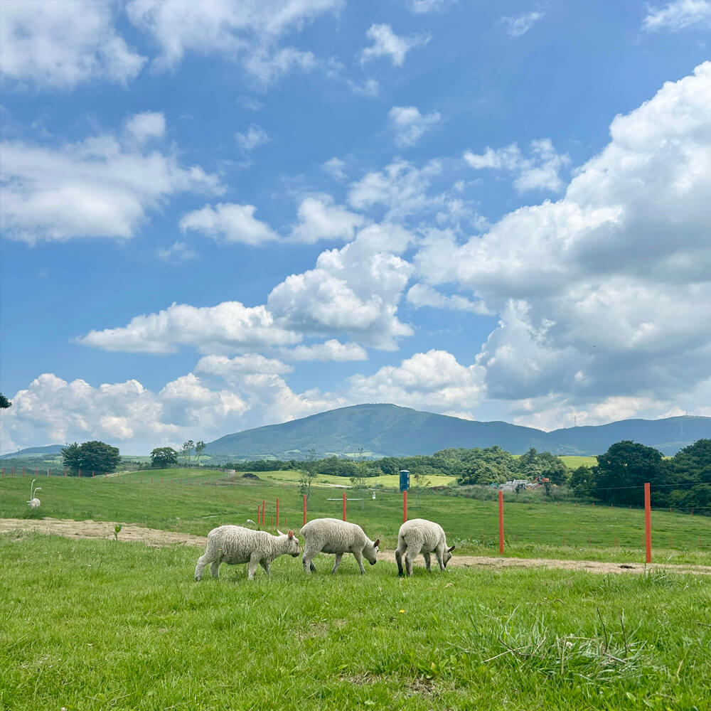 大分NU:KUJU(ヌークジュー)