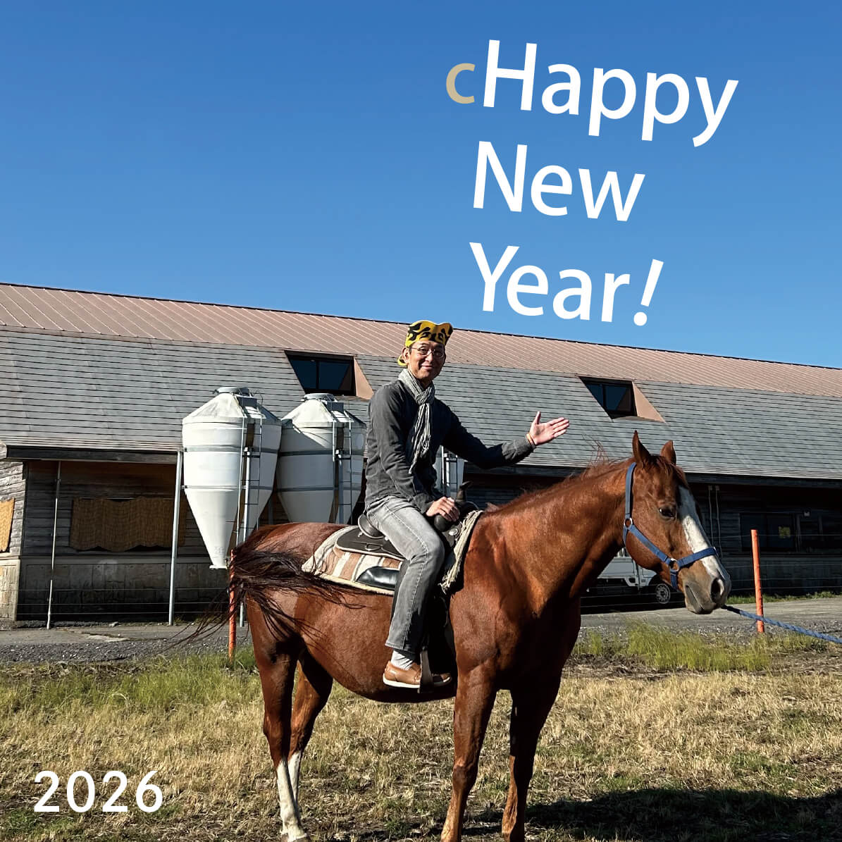 2026午年のかぶりもの年賀状